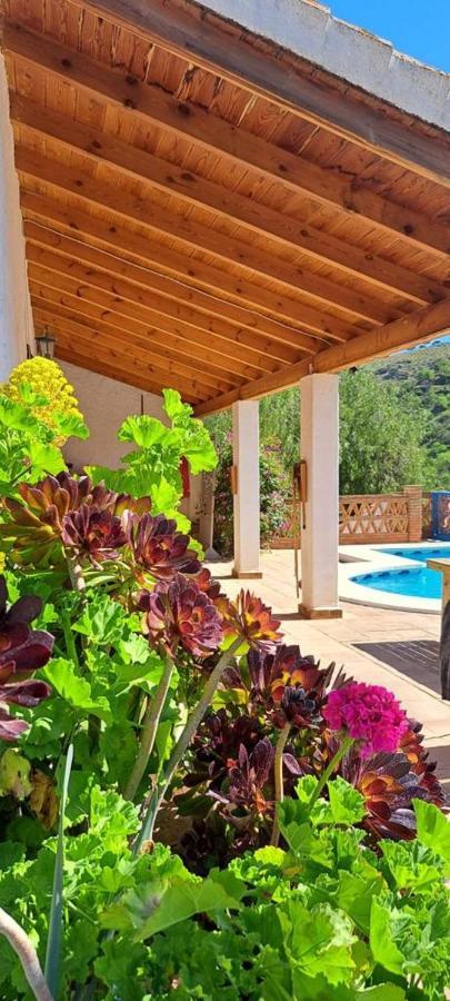 Montana Retreat Bed & Breakfast Alora Bagian luar foto